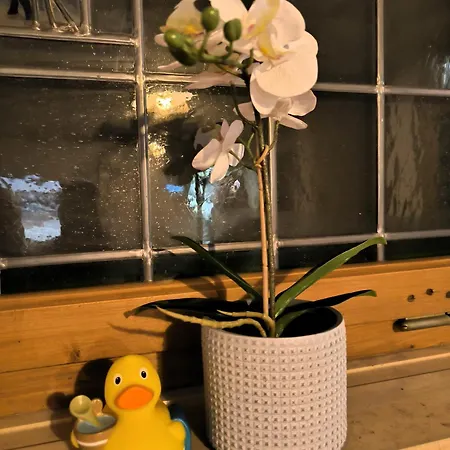 Haus Blindauer Eck Tatil Evi